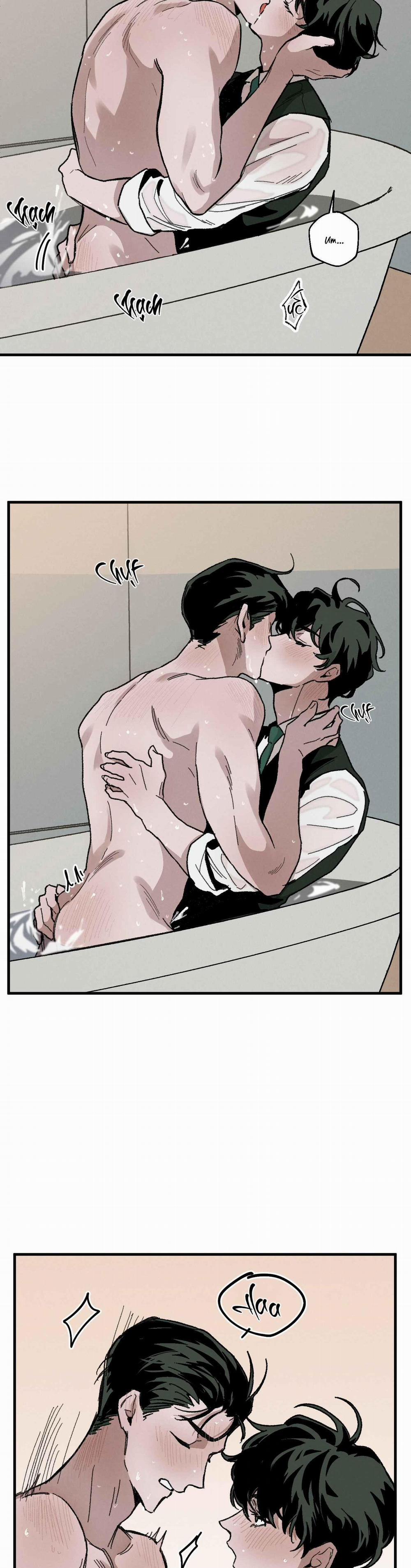 Cottage Garden 8 0 trang 26