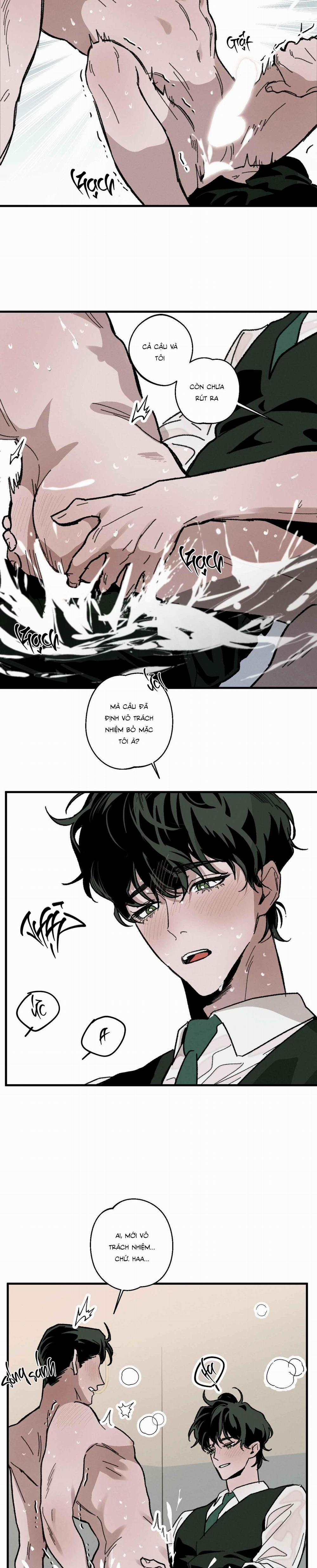 Cottage Garden 8 0 trang 29