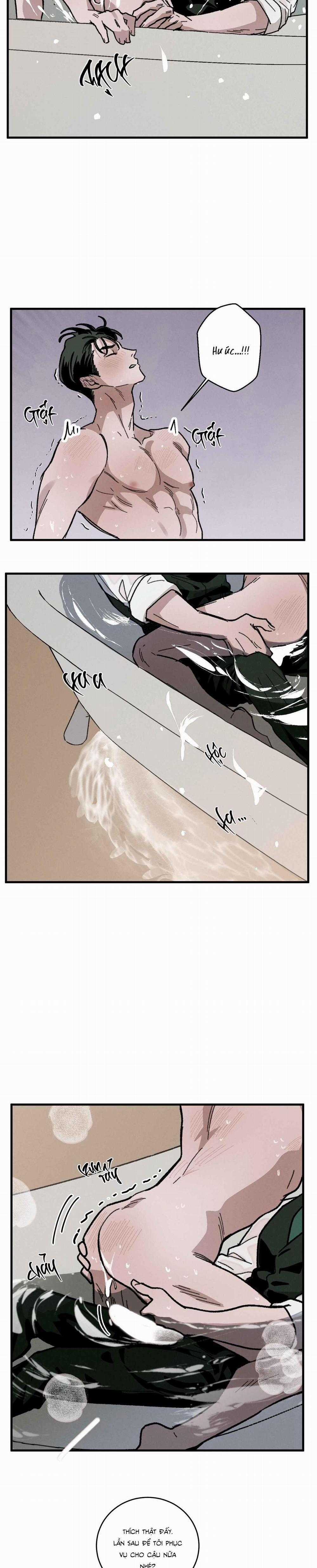 Cottage Garden 8 0 trang 30