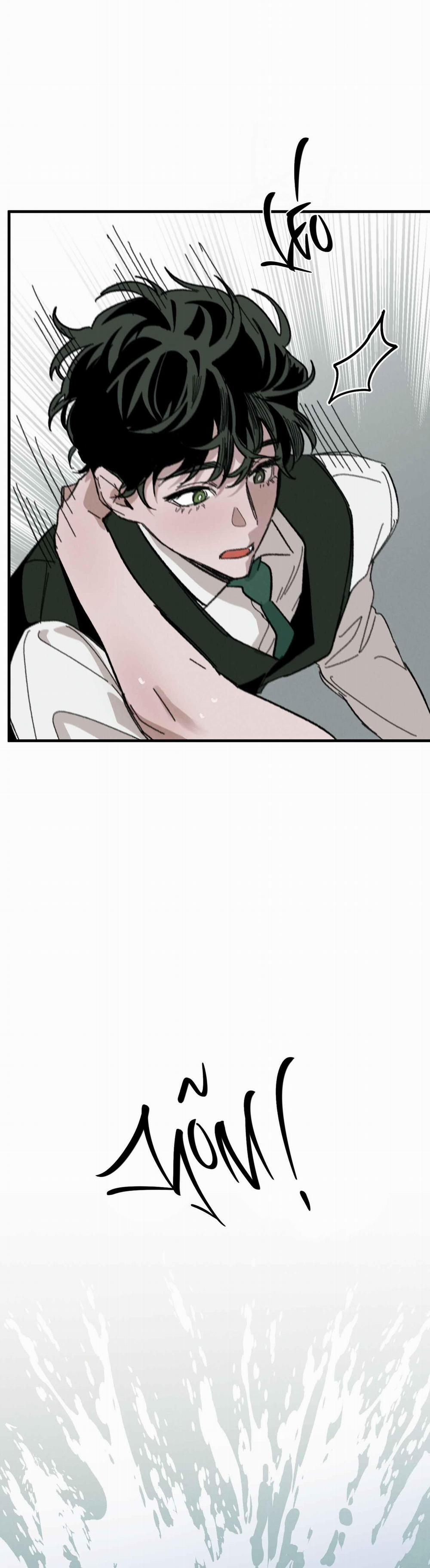 Cottage Garden 8 trang 20