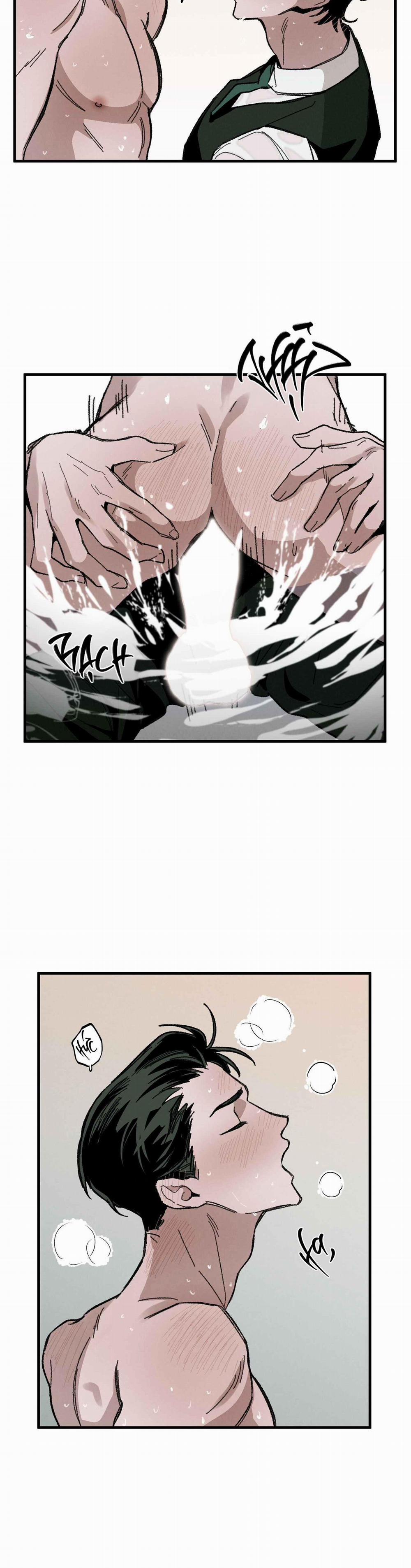 Cottage Garden 8 trang 27