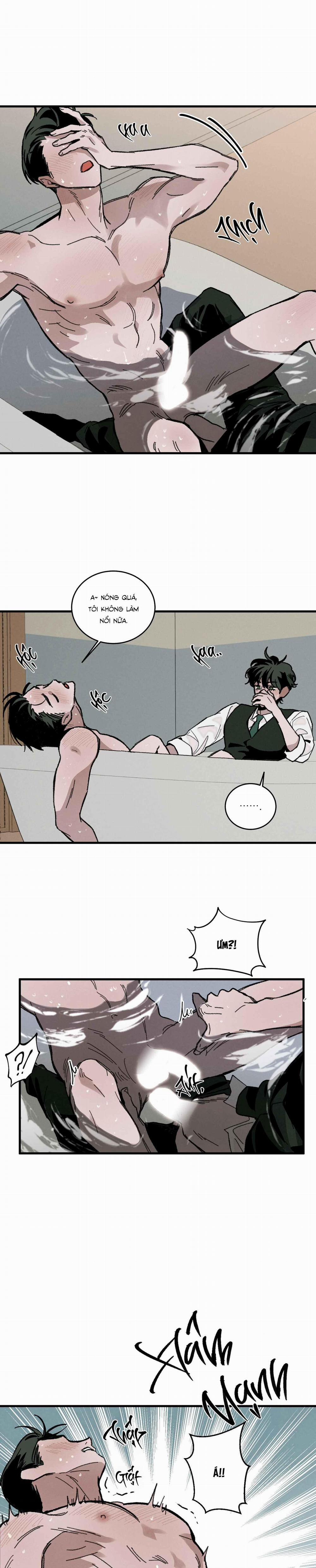 Cottage Garden 8 trang 28