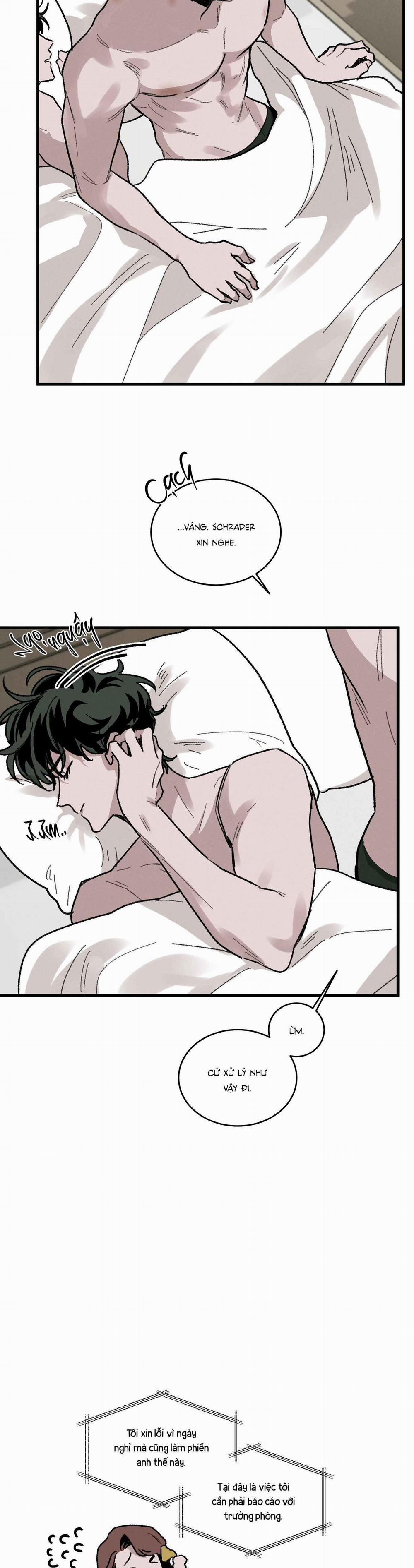 Cottage Garden 9 trang 1