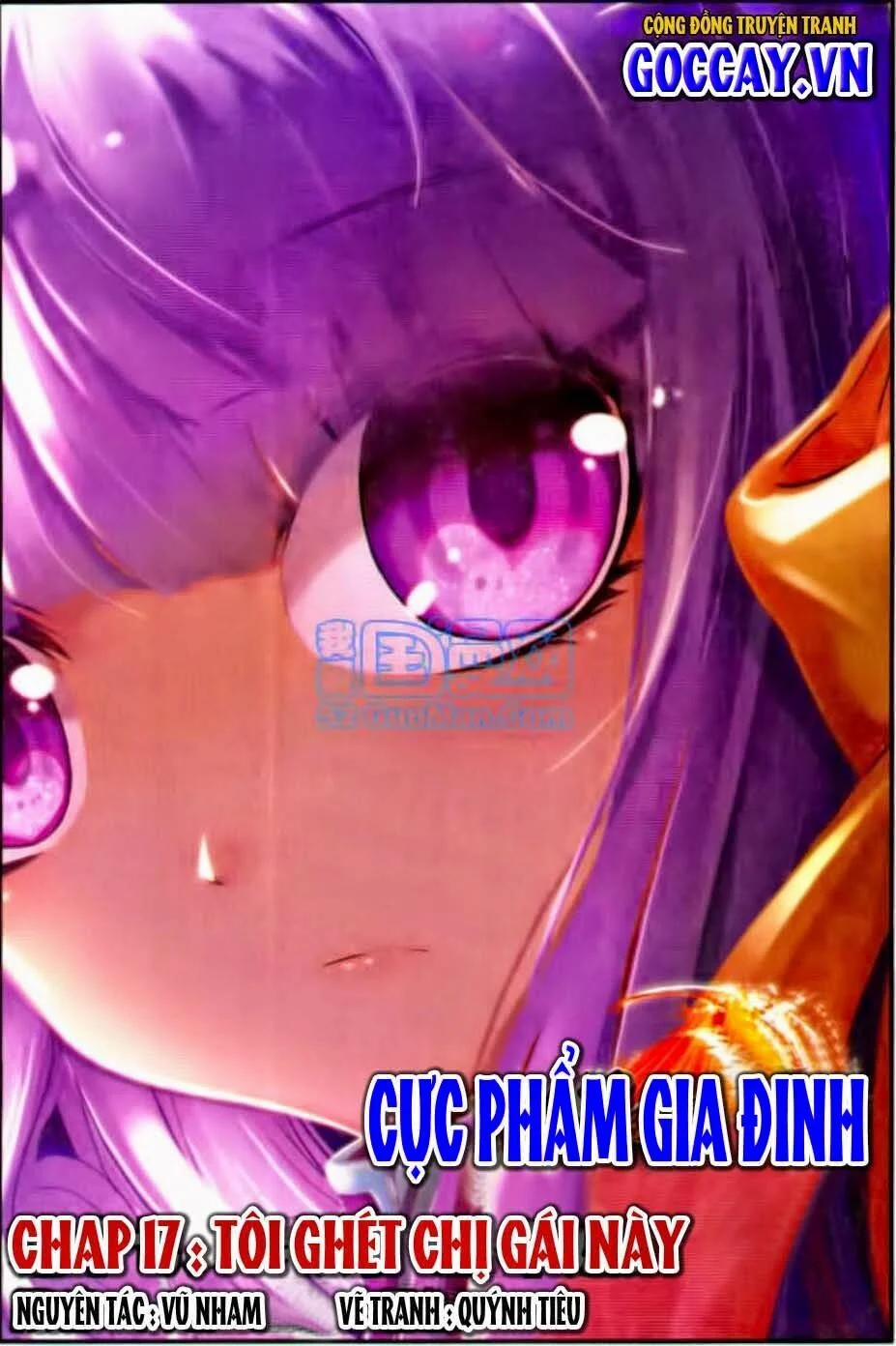 Cực Phẩm Gia Đình 17 trang 0