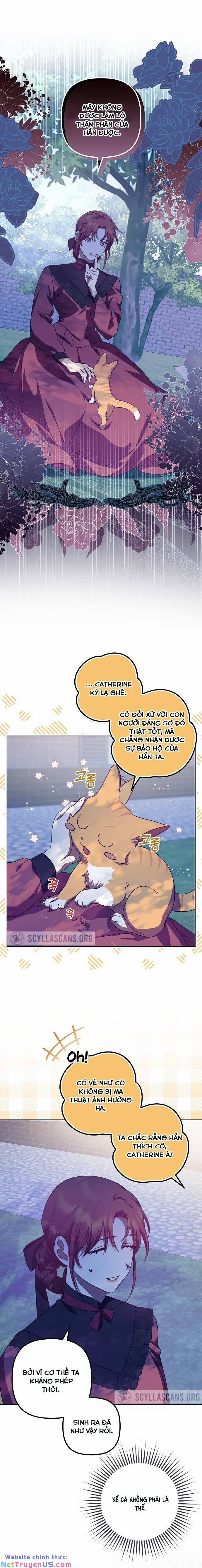 Cuộc Sống Độc Thân Giản Dị Của Quý Cô Bị Bỏ Rơi 13 trang 1