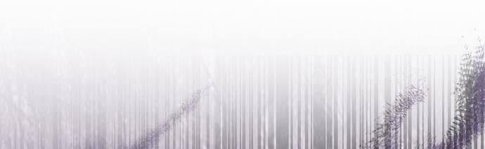 Cuộc Sống Độc Thân Giản Dị Của Quý Cô Bị Bỏ Rơi 21 trang 80