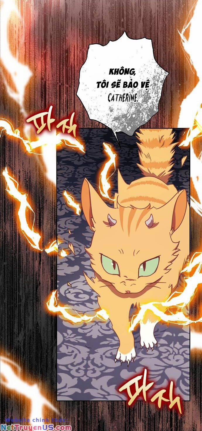 Cuộc Sống Độc Thân Giản Dị Của Quý Cô Bị Bỏ Rơi 23 trang 59