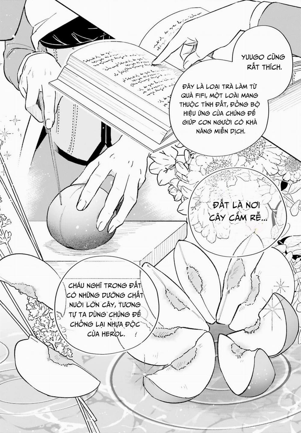 Cuộc Sống Thưởng Trà Của Amalia, Nàng Phù Thủy Bị Lãng Quên 7 trang 6