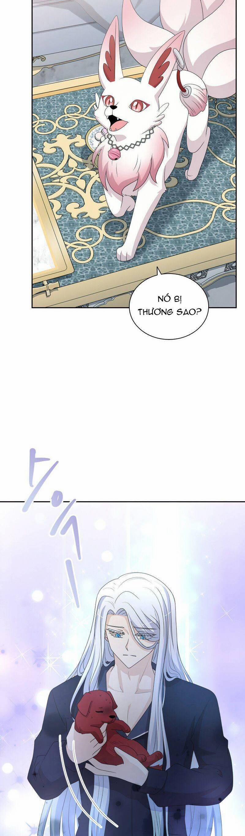 Cuốn Sách Của Lagier 47 trang 26