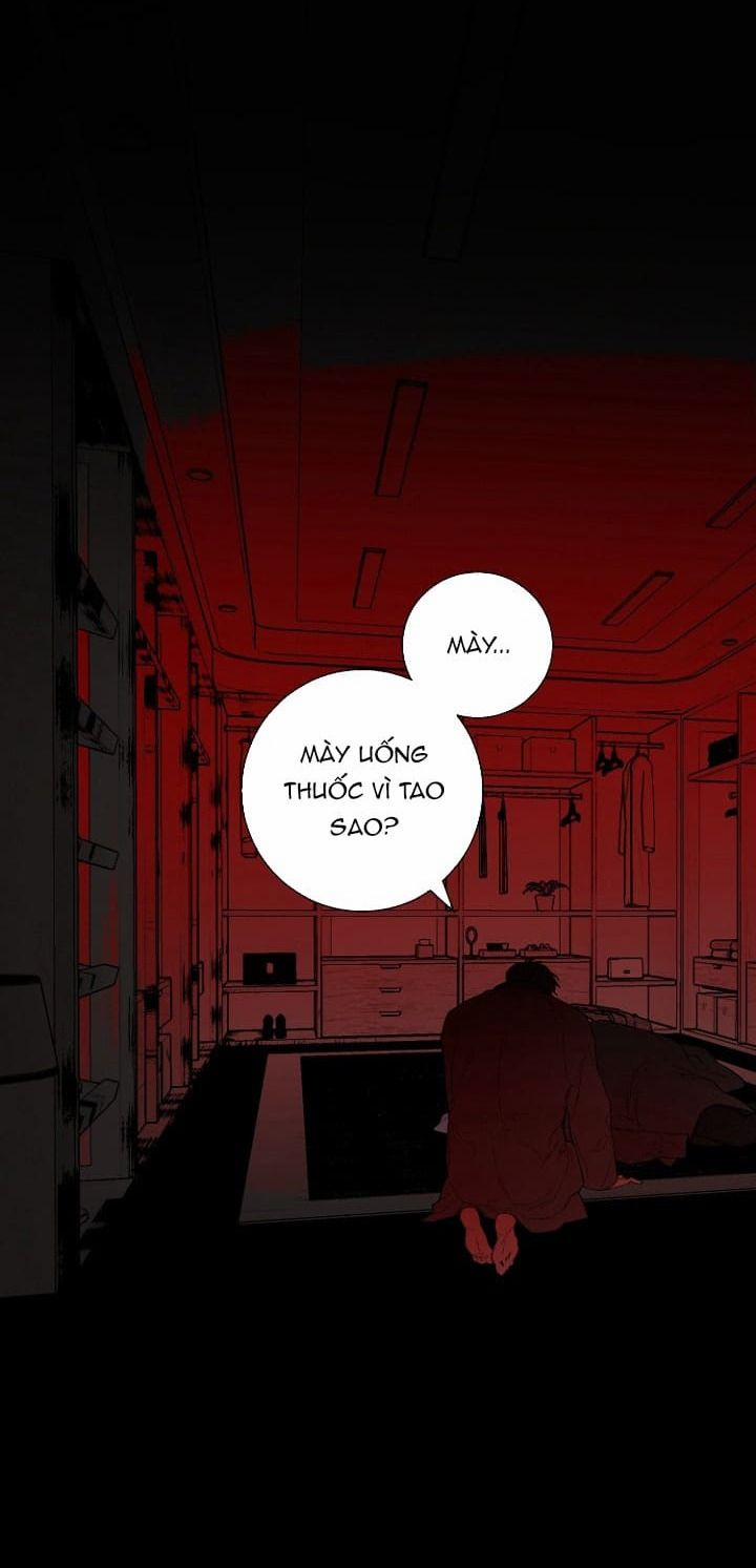 Daddy X Của Tôi 16 trang 55