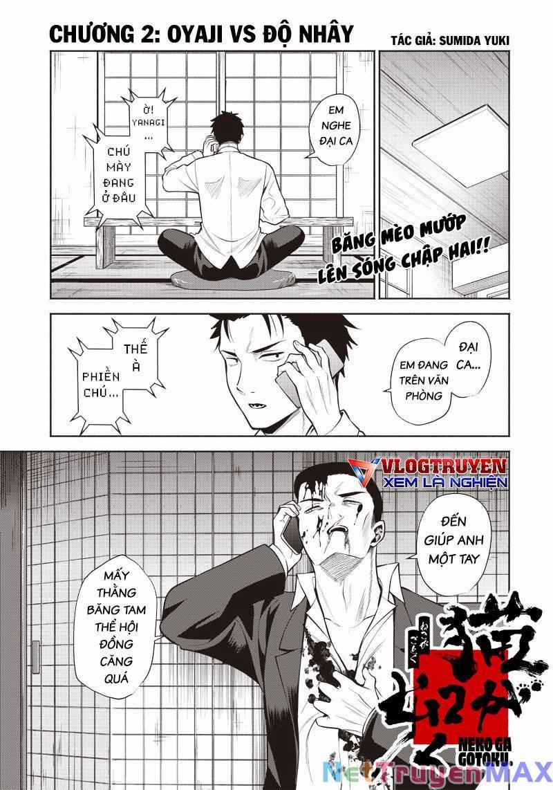 Đại Ca Băng Mèo Mướp 2 trang 1