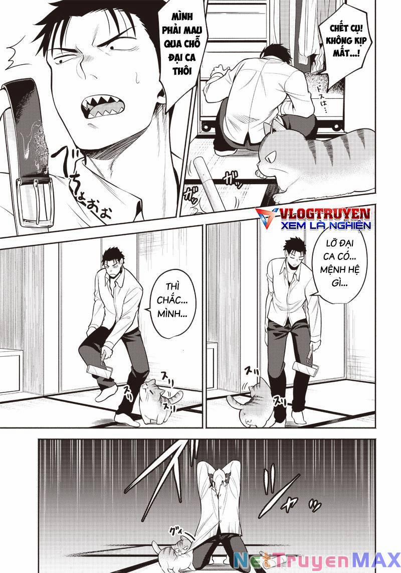 Đại Ca Băng Mèo Mướp 2 trang 10