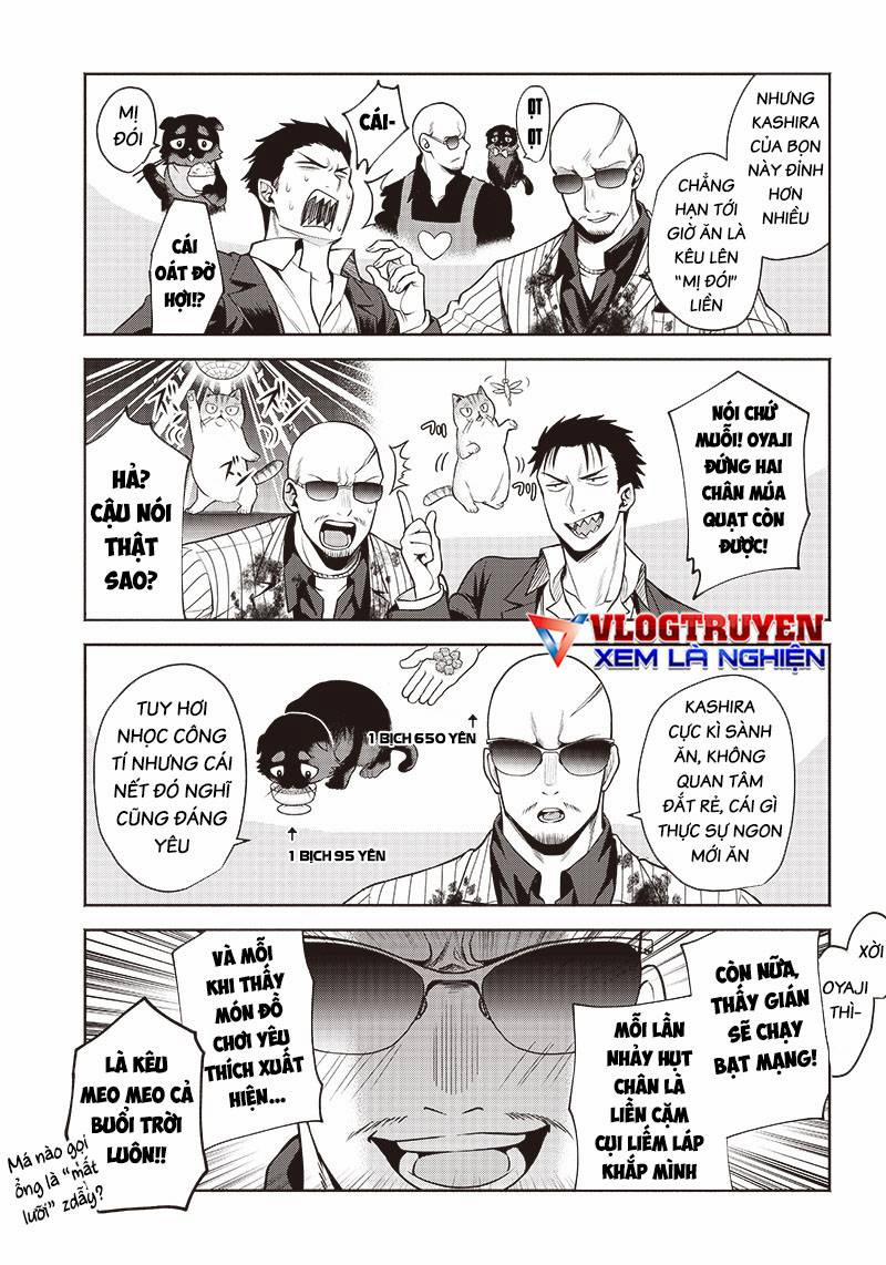 Đại Ca Băng Mèo Mướp 3 trang 12