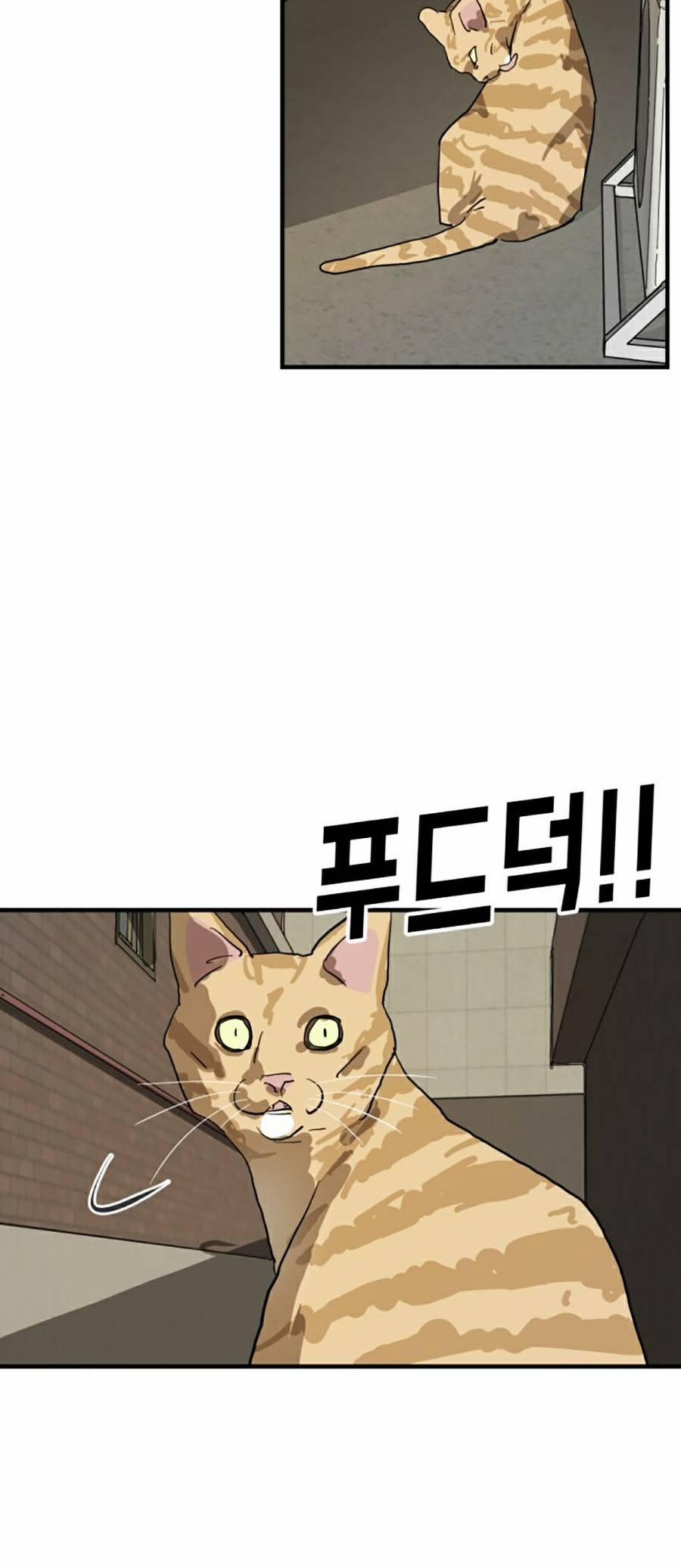 Đại Dịch Seoul 14 trang 71