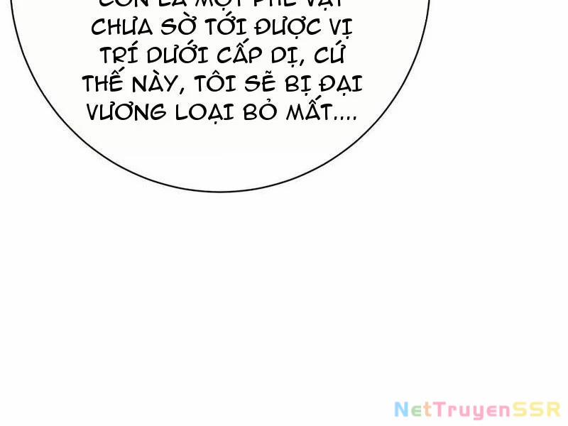 Đại Liên Minh Phản Xuyên Việt Của Bạo Quân 75 trang 14