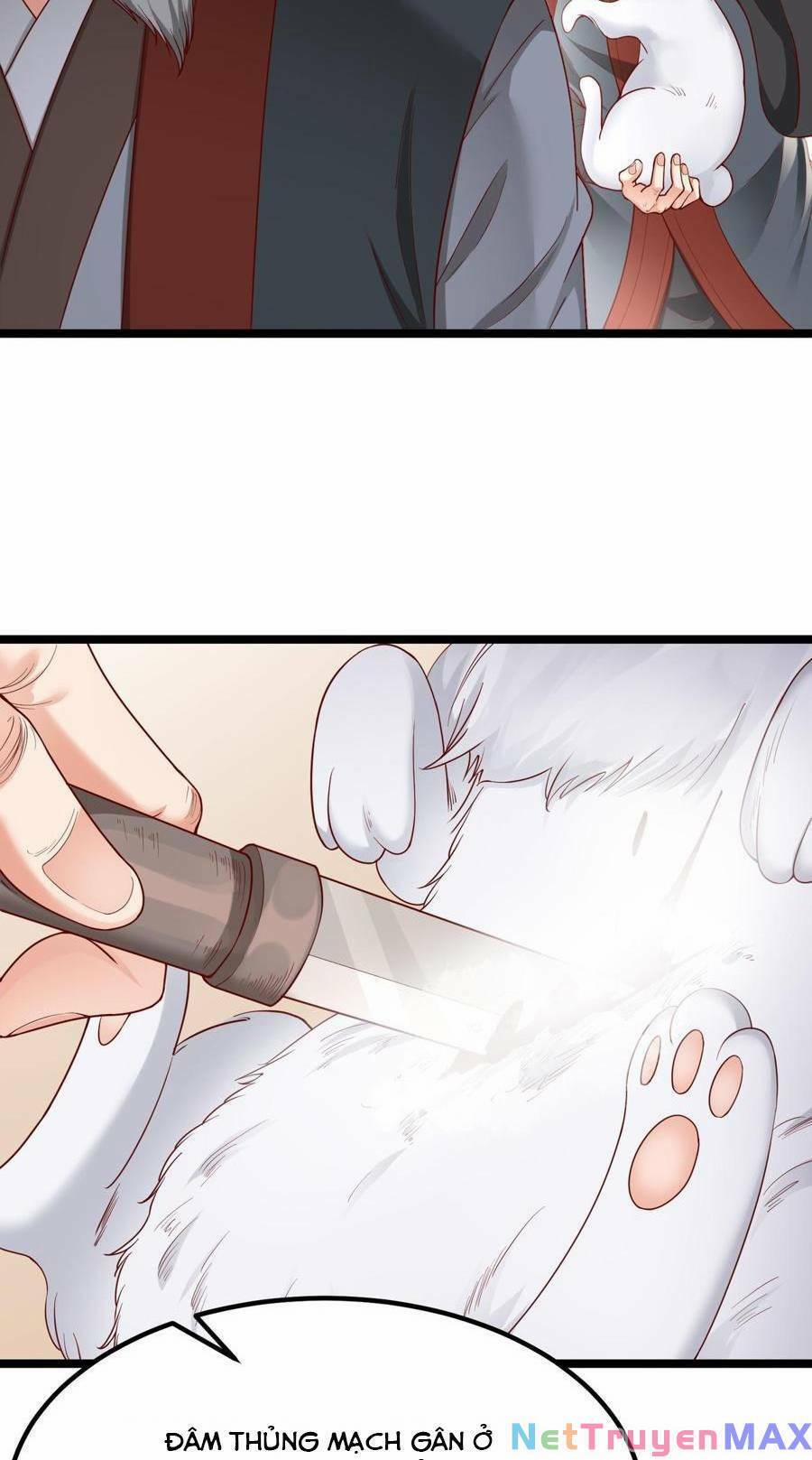 Đại Tần: Ta Con Trai Tần Thủy Hoàng Giết Địch Thăng Cấp Thành Thần 11 trang 65