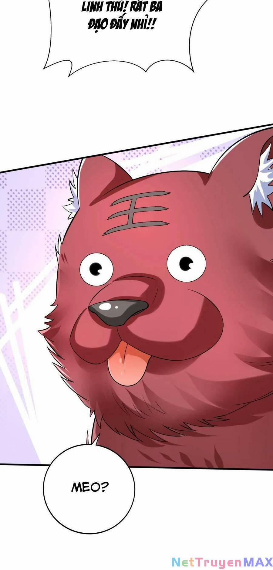 Đại Tần: Ta Con Trai Tần Thủy Hoàng Giết Địch Thăng Cấp Thành Thần 43 trang 41