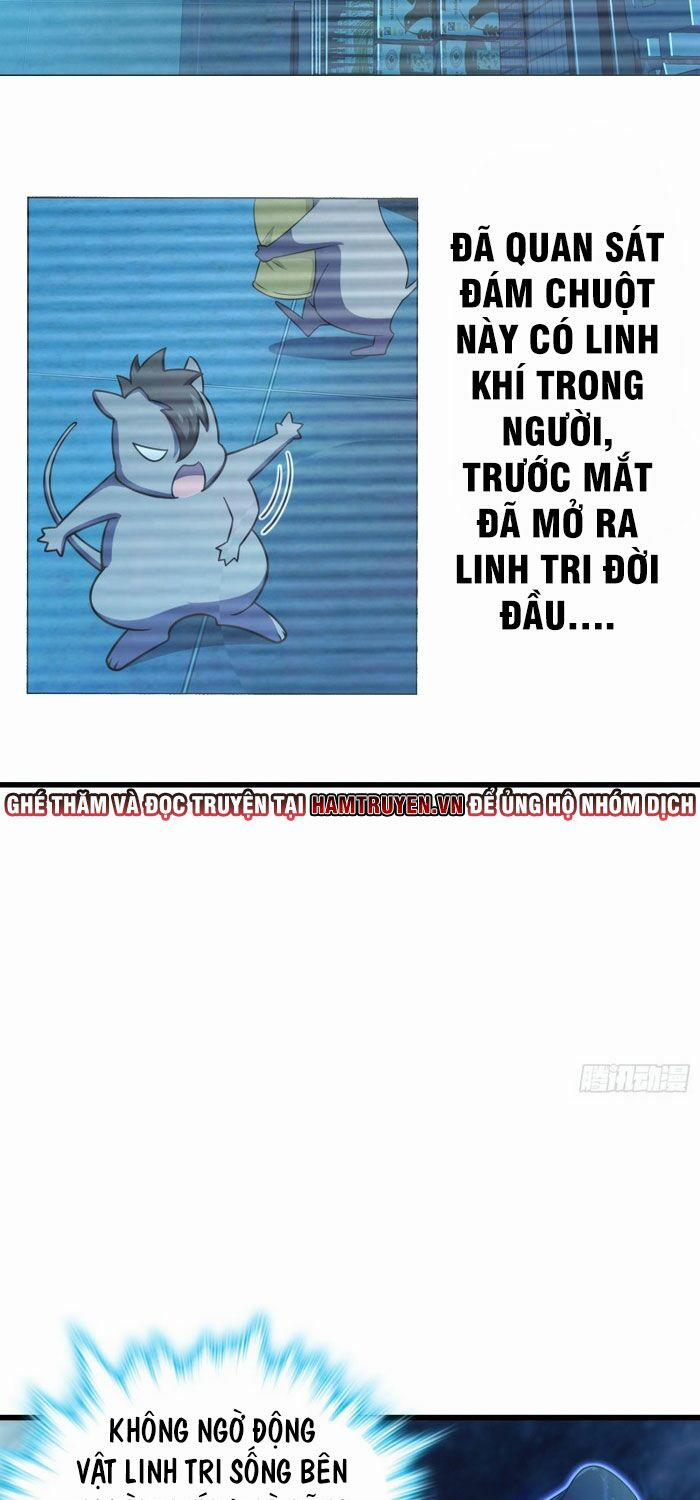 Đại Vương Tha Mạng 204 trang 40