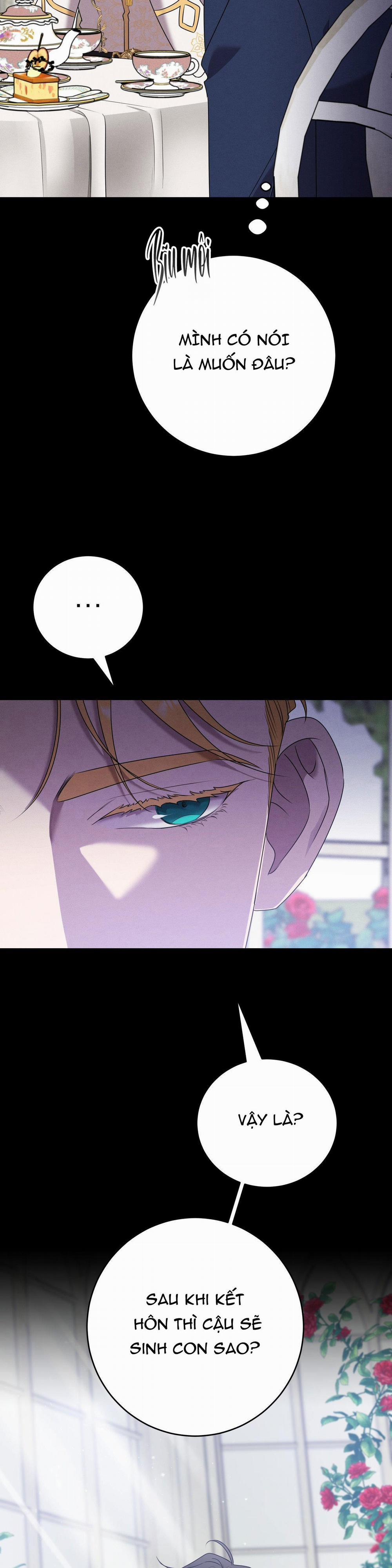 ĐÁM CƯỚI TAI TIẾNG 3 trang 12