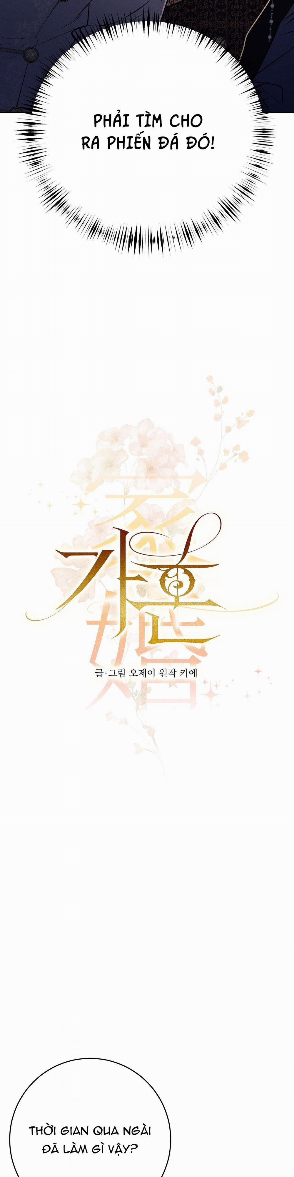 ĐÁM CƯỚI TAI TIẾNG 5 trang 13
