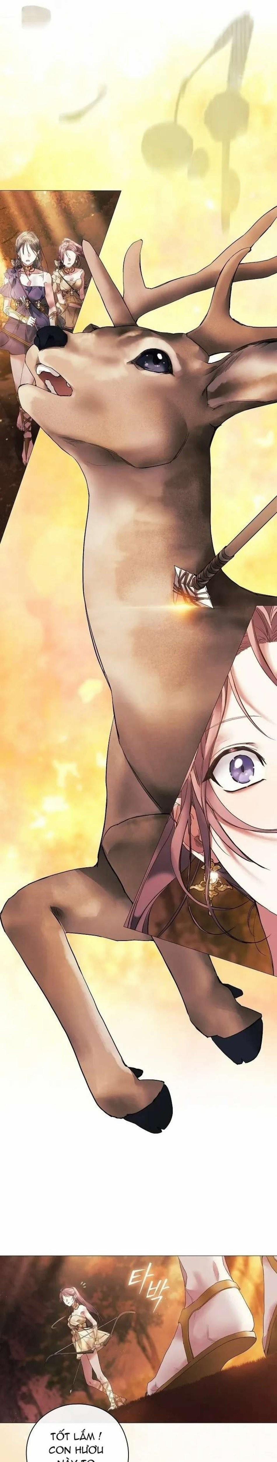 Dành Cho Các Nữ Thần : Dành Cho Daphne 1 trang 8