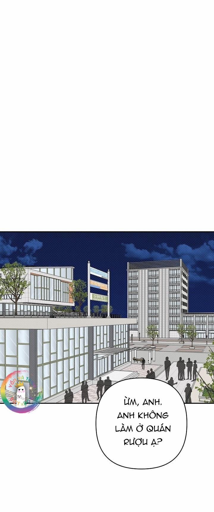 Dấu ấn 20 trang 20