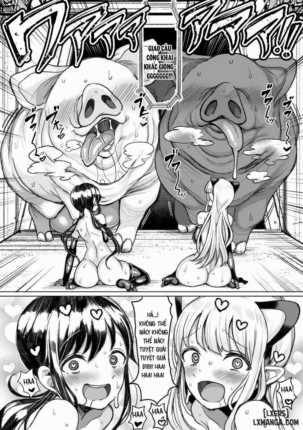 Đấu trường gieo giống. 3.0 trang 14