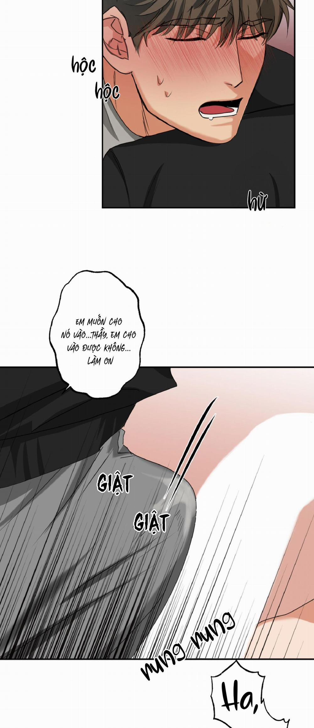 Dạy Chịch 11 0 trang 15