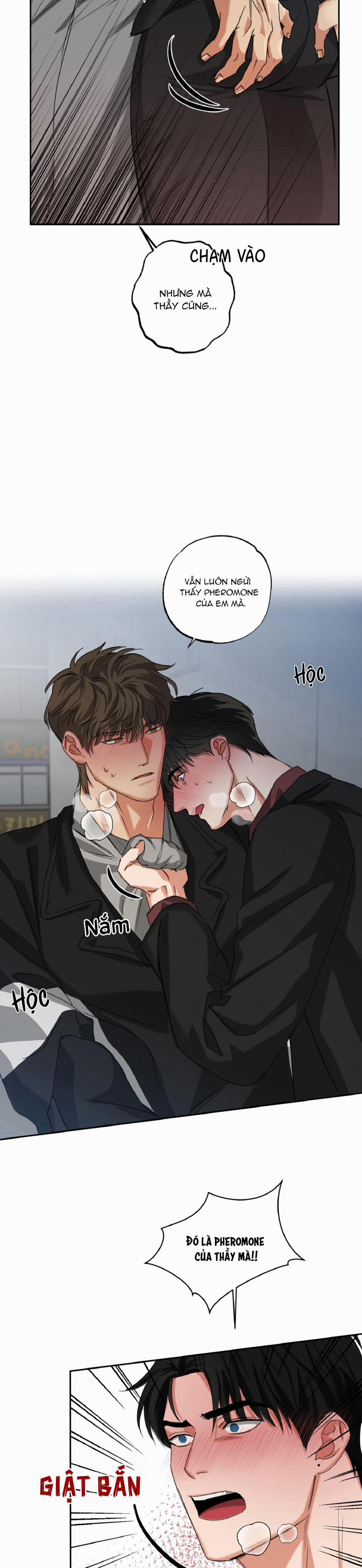 Dạy Chịch 11 trang 17