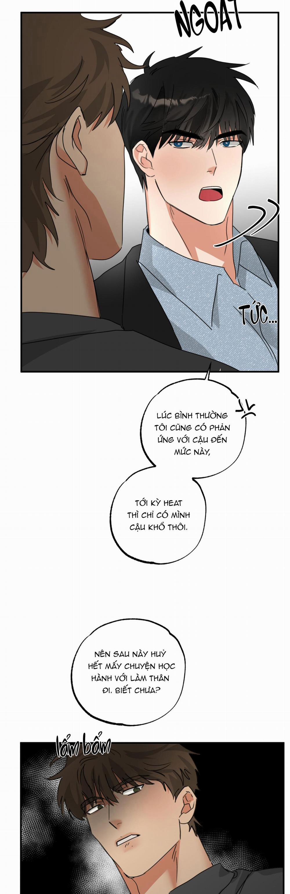 Dạy Chịch 8 trang 36