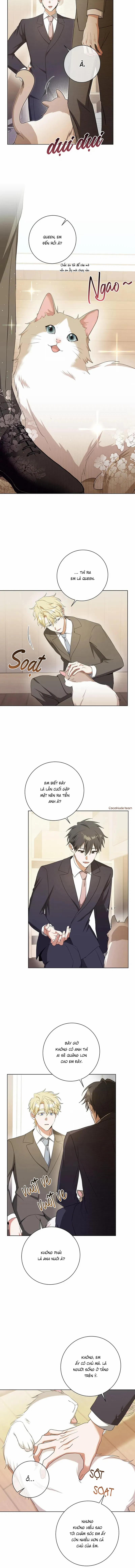 Daze 51 trang 1