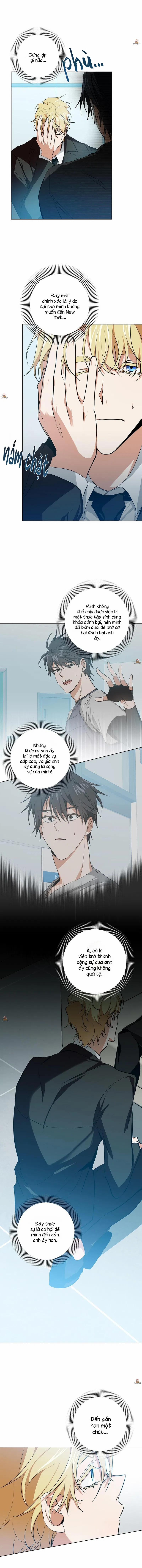 Daze 7 trang 5