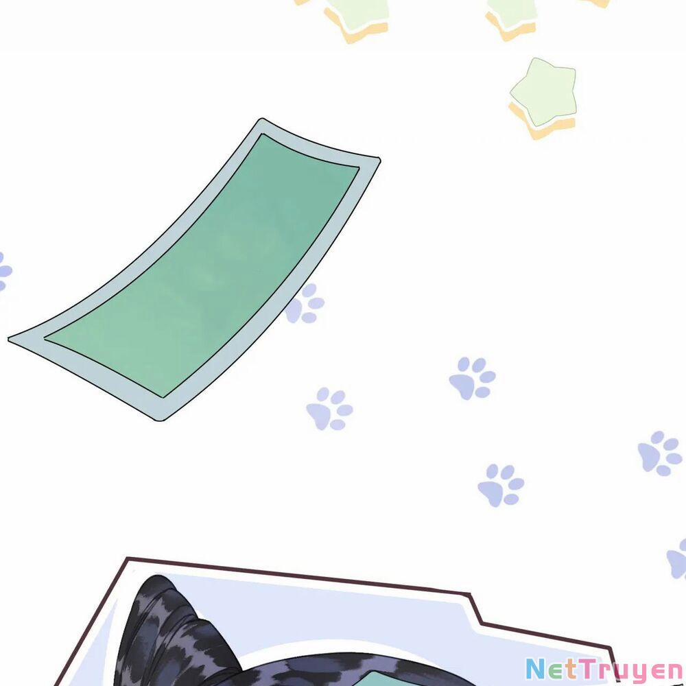 Để Ta Làm Ánh Trăng Đen Của Hôn Quân 6.2 trang 28