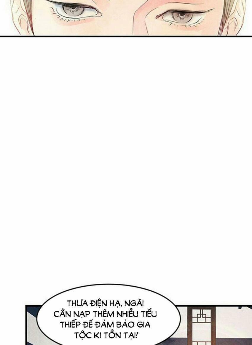 Đêm Thác Loạn (Đêm Dục Vọng) 3 trang 3