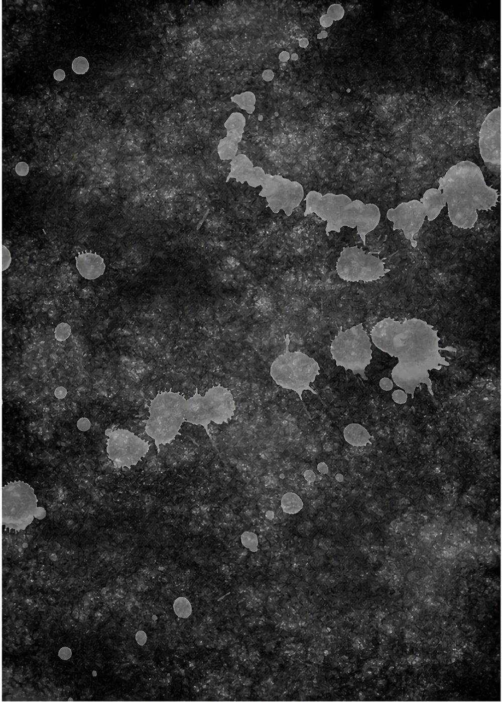 Dịch Vụ Trả Thù Ngoại Truyện 52 trang 27