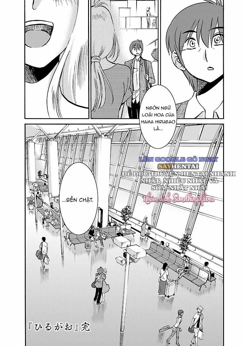Đóa Hoa Ban Trưa Mối Tình Vụng Trộm Phần 5 8 trang 19