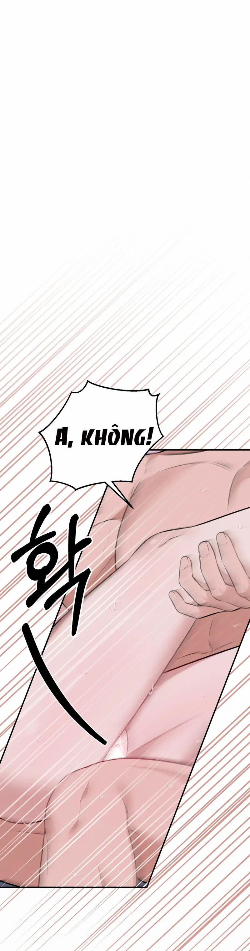 Đoạt Ái 12.1 trang 13