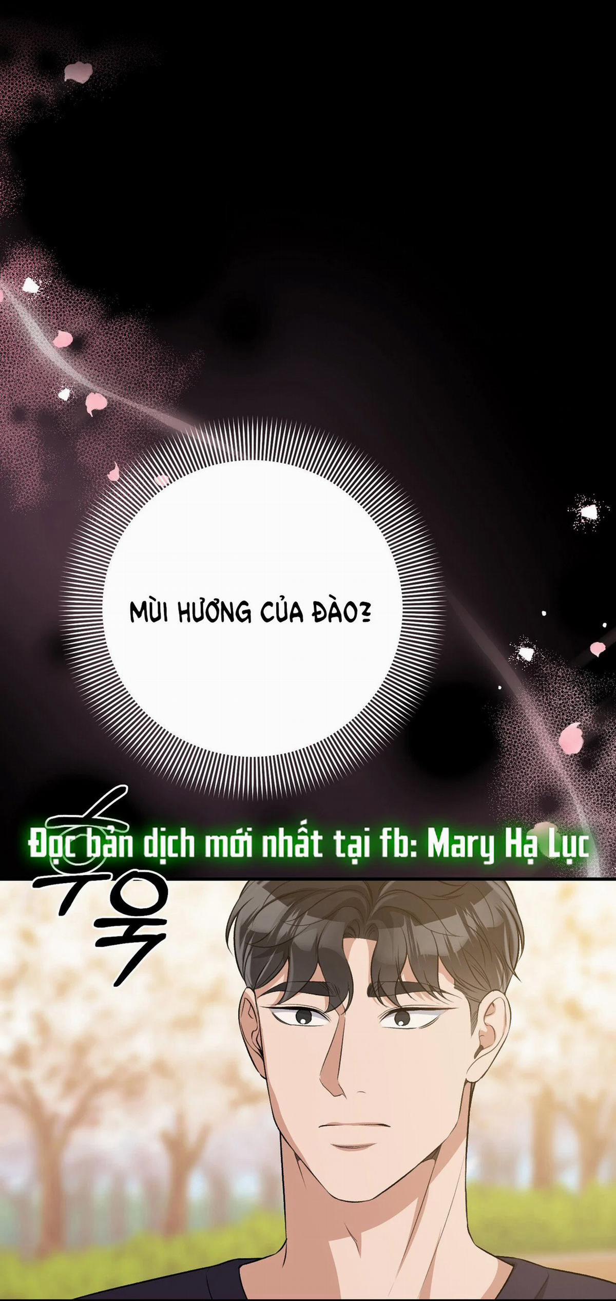 Đoạt Ái 15.1 trang 15