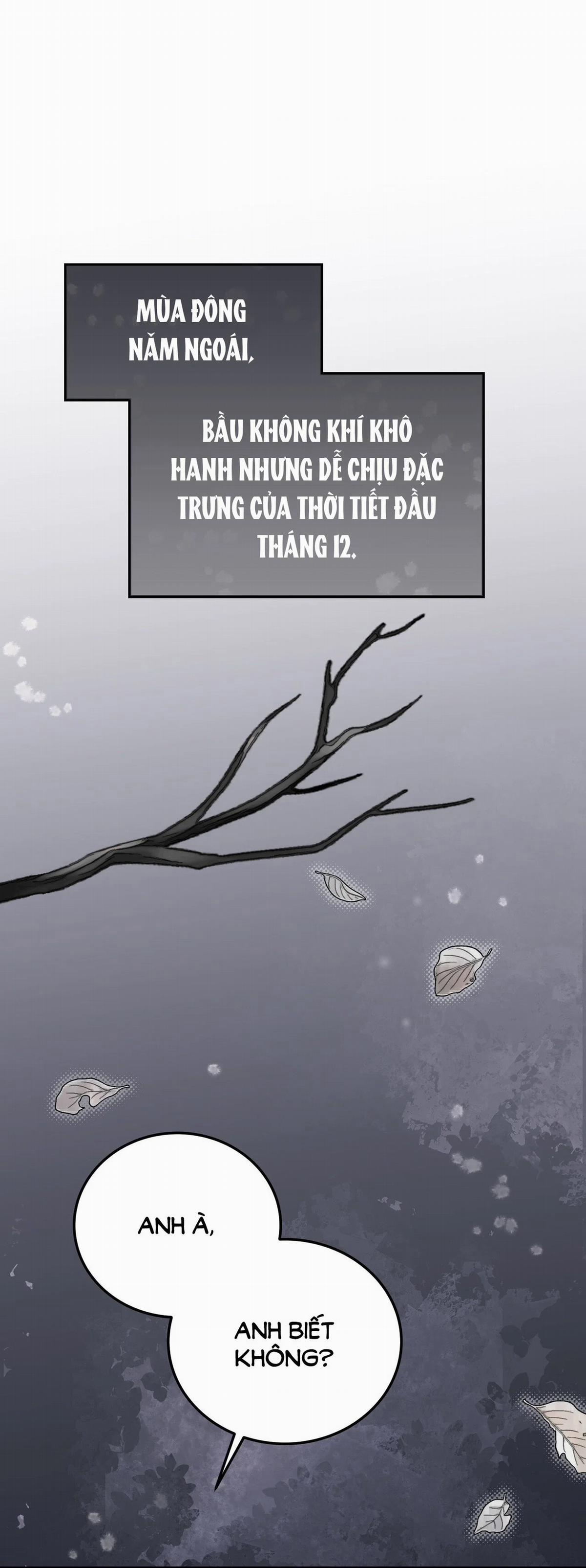 Đoạt Ái 3.1 trang 2