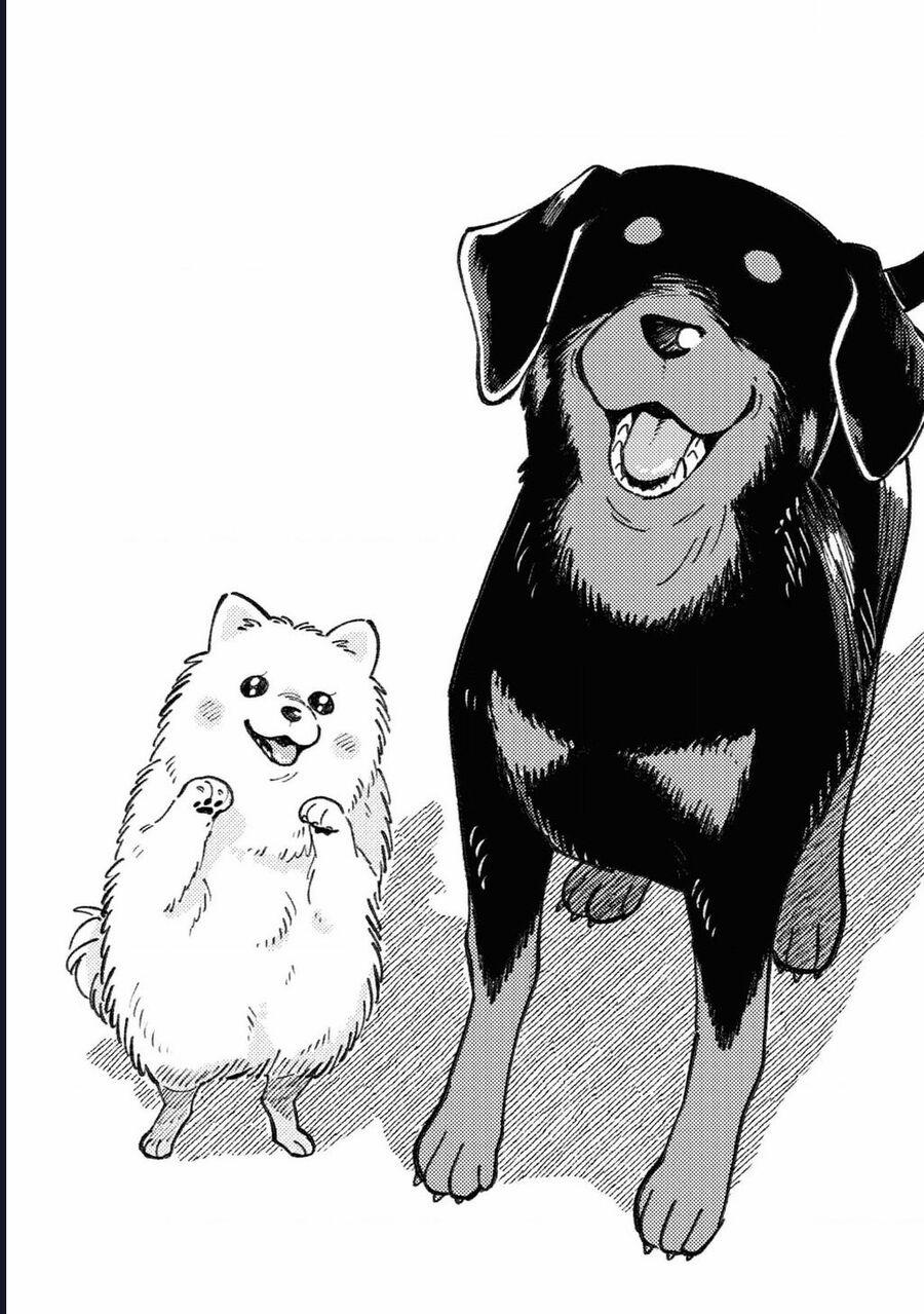 Đôi Ta Hoàn Toàn Trái Ngược 25.5 trang 20