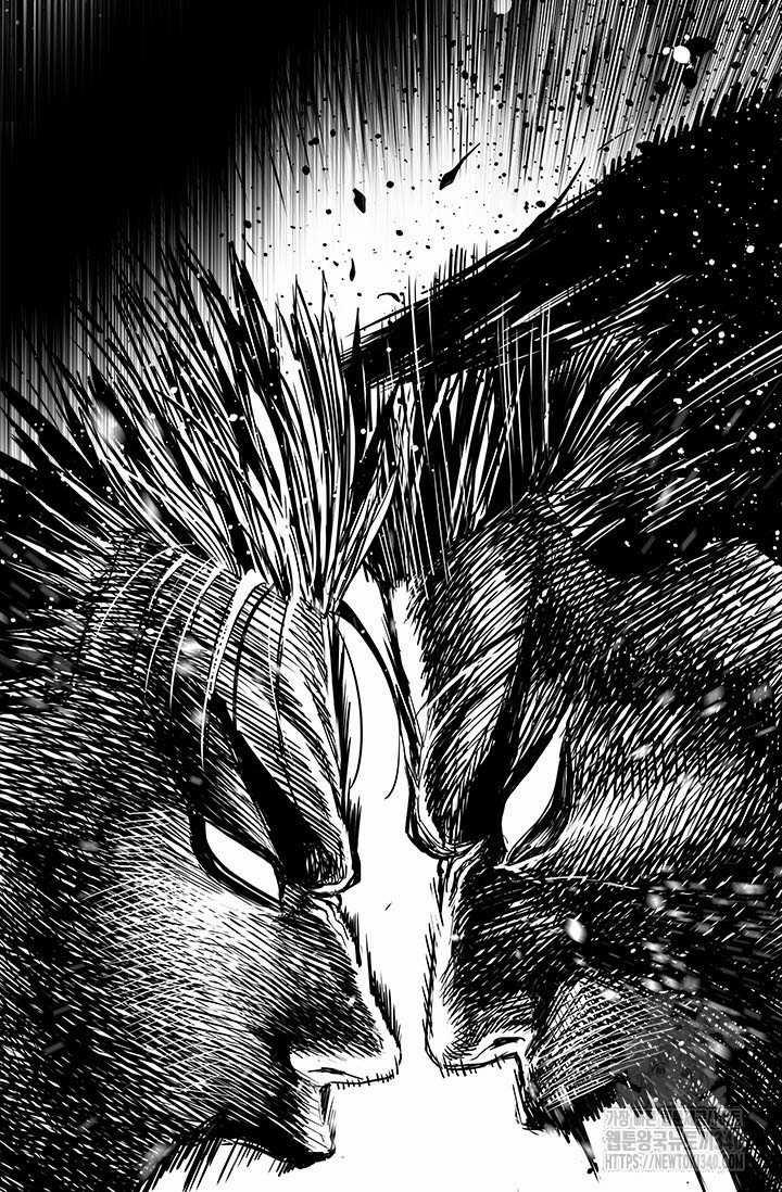 Đội Trưởng Lính Đánh Thuê 223.5 trang 28