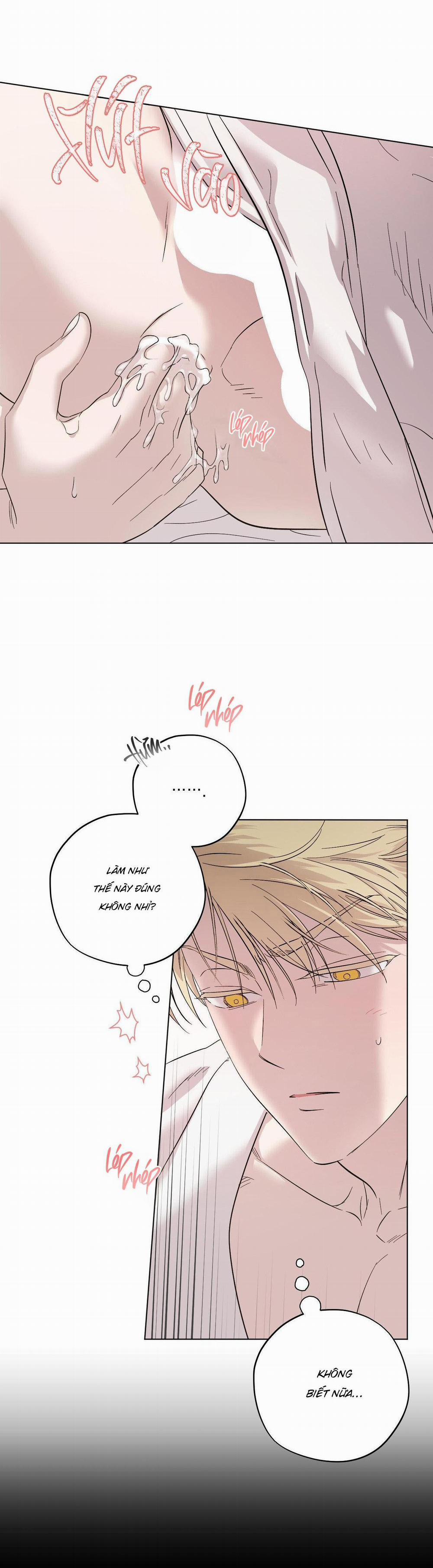 Driver's High 5 trang 5