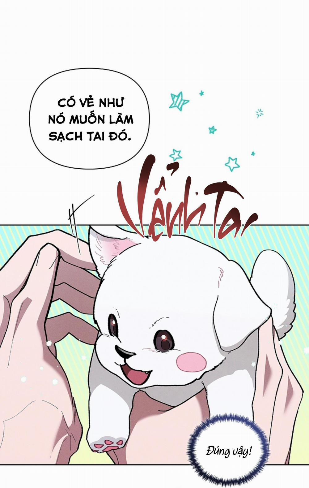 ĐỪNG ĐỤNG VÀO BÉ CÚN 6 trang 55