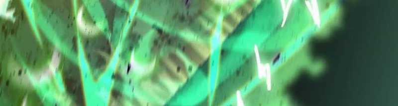 Dũng Giả X Nữ Ma Vương 90 trang 304