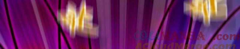 Dũng Giả X Nữ Ma Vương 93 trang 154