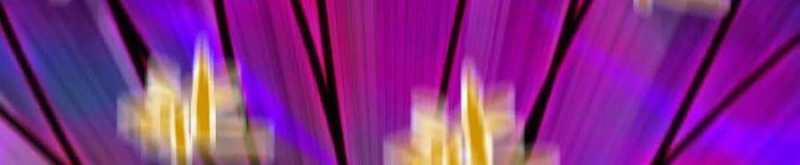 Dũng Giả X Nữ Ma Vương 93 trang 156