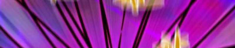 Dũng Giả X Nữ Ma Vương 93 trang 157