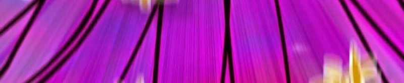 Dũng Giả X Nữ Ma Vương 93 trang 162