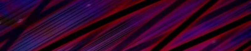 Dũng Giả X Nữ Ma Vương 93 trang 232