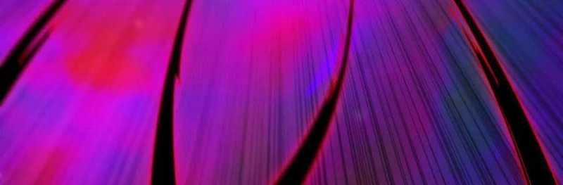 Dũng Giả X Nữ Ma Vương 93 trang 98